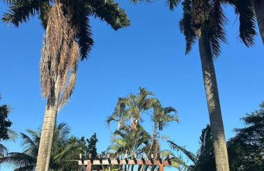 Paraíso com piscina, sauna e natureza em Iriri - Foto 25