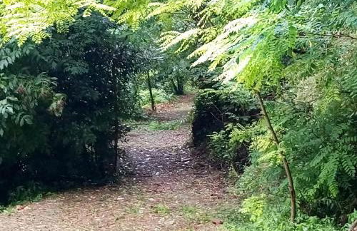 Casolare Toscano - Foto 12