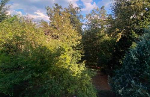 Gite Le Chalet SaintAnthème / Prabouré - Foto 28