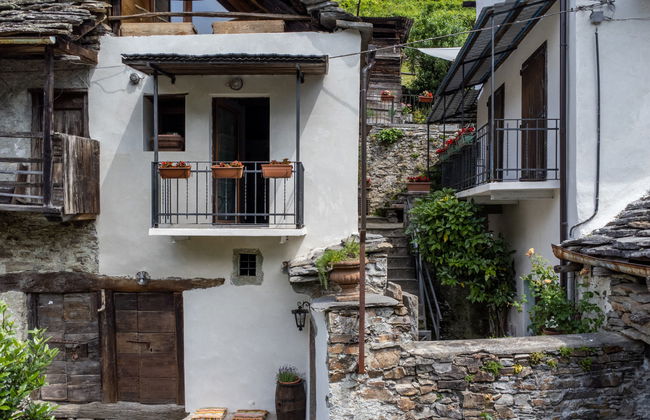 Il Gianlupo Grigio - Foto 25