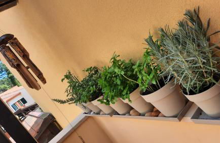 Villa do Lago - Foto 48