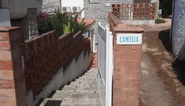 Camélia Plein Soleil Bord de Plage - Foto 4