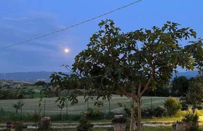 Agriturismo Madre Terra - Foto 18