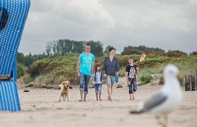 Terraced House in Damp Near Baltic Sea Beach - Foto 23