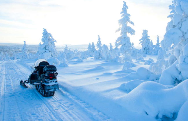 Aventura en moto de nieve + Paseo en trineo de renos y huskies - Foto 3