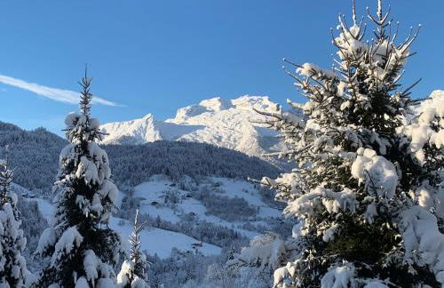Logement 3 étoiles avec vue imprenable sur les montagnes, ski bus - Photo 25