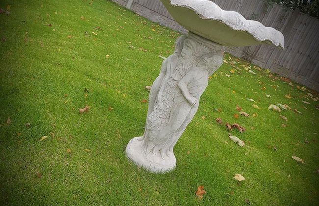 Chatterley House - Foto 34