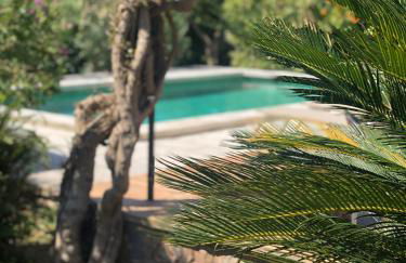 Ses llimoneres - Foto 24