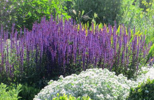 Cortijo Opazo - Foto 9