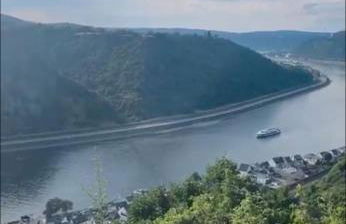 Blick auf den Rhein - Foto 54