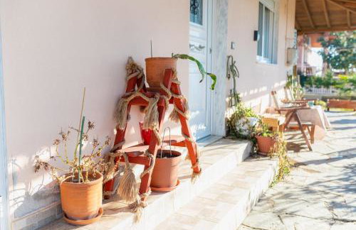 Sofia's Garden View - Photo 24