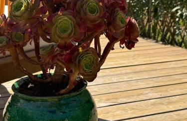 Window On Ramatuelle - Foto 46