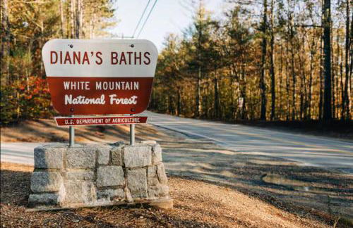 Family Retreat Sauna Hot Tub Games Peloton - Photo 5