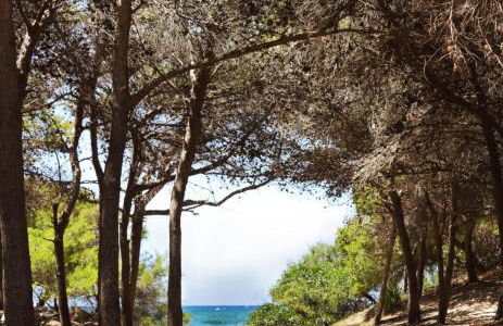 Appartamenti Rivabella D - Photo 3