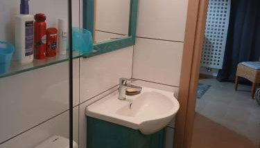 Diavaide Apartment - Foto 4, towels, Shower