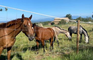 La Caseta de Raquel - Foto 37