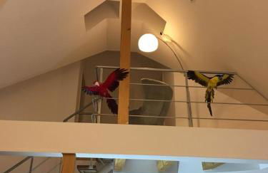 Ferienimspessart OG - Foto 29