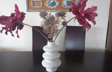 Fox's Sunshine - Foto 15