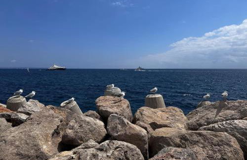 Vista Hermosa - Foto 29