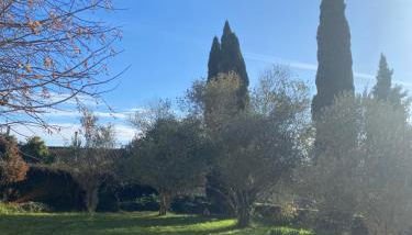 Charmante maison au cœur de la cité médiévale - Foto 2, Garden view