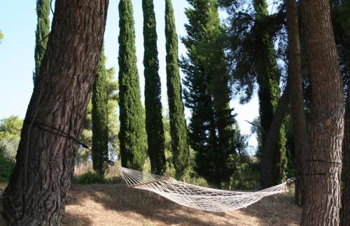 Terry Land Village - Foto 74