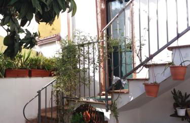 Il Nespolo - Foto 31