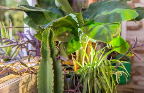 Good times Sevilla - Foto 40