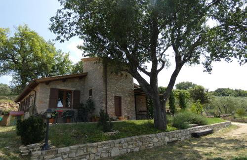 Scappo in Umbria, Le Salce - Foto 9