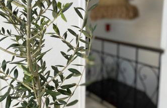 HOKKUM STUDIOS - Foto 19