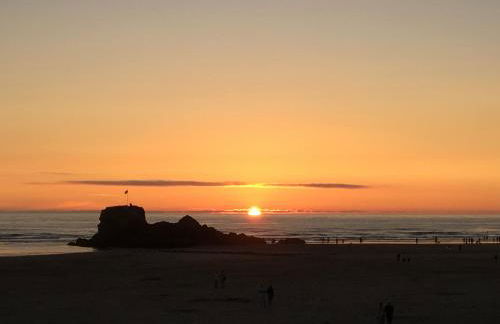 Little Fernleigh - Foto 24