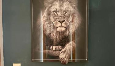 Große Post - Foto 4