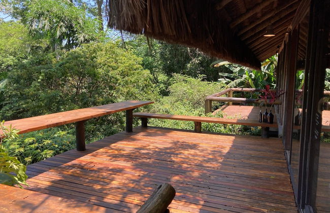 Rainforest Paradise - Foto 17