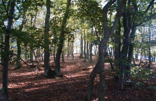 Ferienhaus Mosel Bub - Foto 32