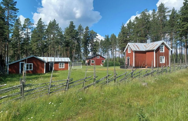 Lapland Pure Nature and More! - Foto 26