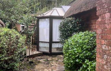 Riverside Studio - Foto 27