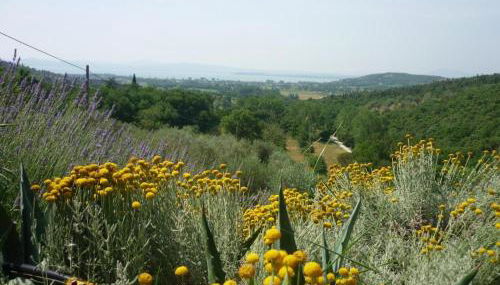 casaemilia2 - Foto 3