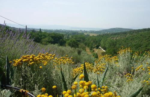 casaemilia2 - Foto 3