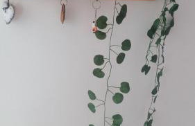 Apartamento completo no coração de Goiânia - Foto 10