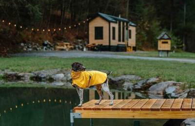 Sage House at Camp Greenwood Vermont with Sauna - Foto 39