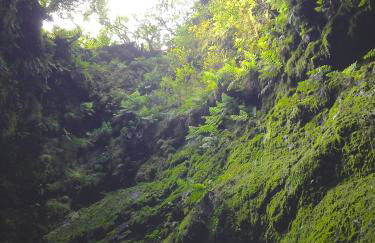 OceanFront Studio - Casa Santo Antonio - Photo 54