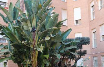 Encantador Ático a 2,6 km de la Playa - Foto 62