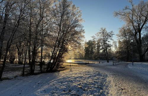 Schwarzwald Style - Ruhige & komfortable Fewo in zentraler Lage Solemar & Kliniken - Ideal für Kurgäste, Begleitpersonen, Berufspendler - Attraktiv für längere Aufenthalte - Foto 47