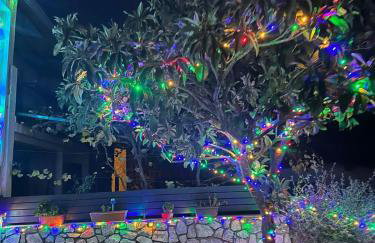 Apartment Mare - Foto 21