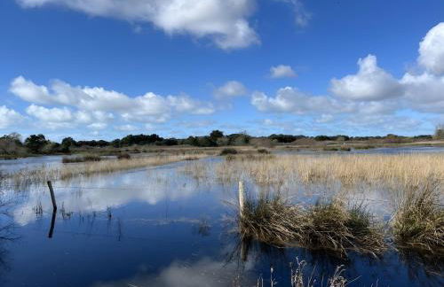 La petite maison avec palmier - Foto 11