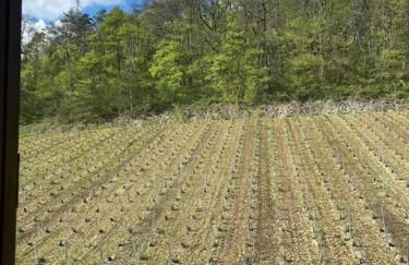 La Teyssière - Foto 12