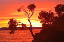 Olga`s sunshine place - Foto 39