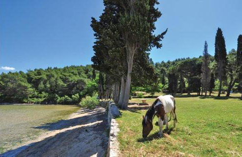 Cozy Home In Postira With Wifi - Photo 38