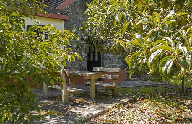 In Laurissilva Forest, Casa do Lanço -carvalho - Foto 63