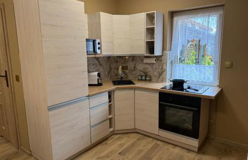 Olszyna Pod Brzozą - Foto 14