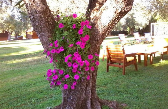 B&B Nuraghe Bianco - Foto 22